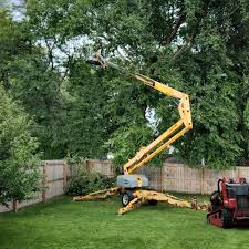 Best Storm Damage Tree Cleanup  in Lake Carmel, NY