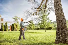Best Utility Line Clearance  in Lake Carmel, NY