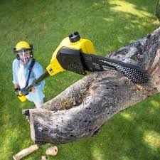Reliable Lake Carmel, NY Tree Removal Solutions